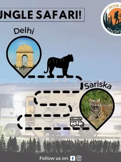 Our Jungle Safari package from Delhi to Sariska is a popular choice for a weekend adventure. We take care of the route so you can focus on spotting wildlife.