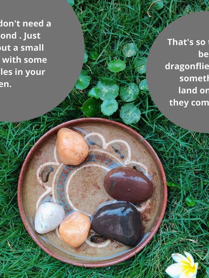 Earthlings Early Years - Preschool & Daycare Learning in Nature's Classroom photo 6