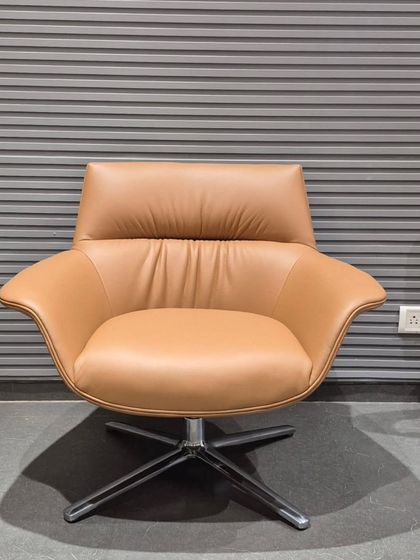 Lounge & Accent Chairs photo 25