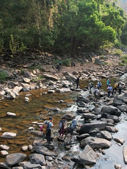 Trekkers carefully crossing the rocky riverbed of the Aghanashini during the summer.