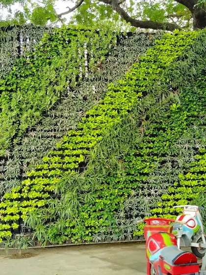 This is a large-scale vertical garden I installed, turning a plain wall into a living, breathing work of art. Using a variety of textures and shades of green, these bio-walls are perfect for improving air quality and making a stunning visual statement in both commercial and residential spaces.