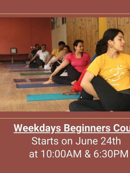 A group of students practices Ardha Matsyendrasana (Half Spinal Twist), a key posture for improving spinal flexibility and aiding digestion.