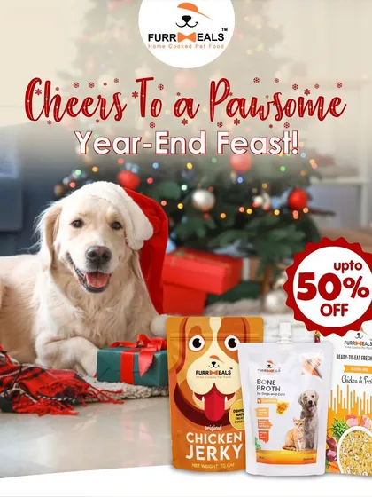 Cheers to a pawsome year-end feast. As we wag goodbye to the year, enjoy our biggest sale with up to 50% off on fresh food, jerky, and bone broth.