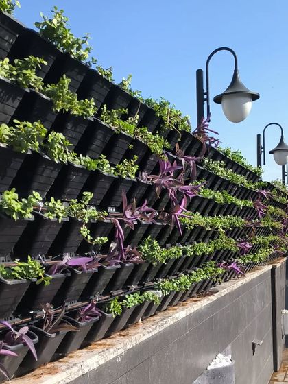 Living Vertical Gardens: The Real Deal photo 5