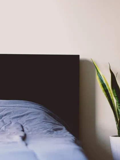Bringing plants into the bedroom can improve air quality and promote restful sleep. A tall Snake Plant (Dracaena trifasciata) in a modern white FRC pot is a perfect choice, as it is low-maintenance and releases oxygen at night.
