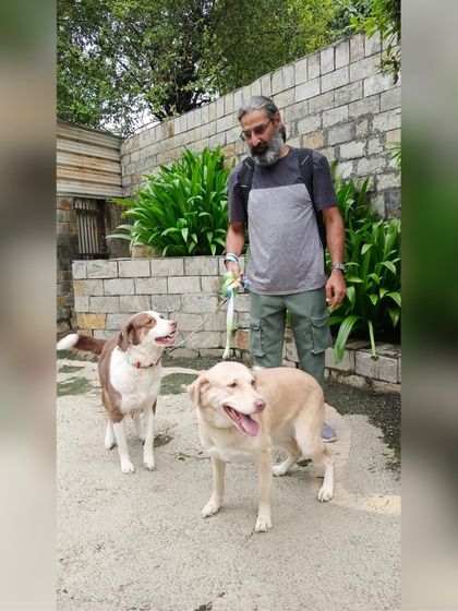 Journeys to Canada photo 5