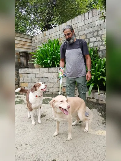 Alexa and Kathy out for a walk with our founder before their flight. Traveling as accompanied baggage from Delhi to Toronto, we made sure they were relaxed and ready for their journey to Canada.