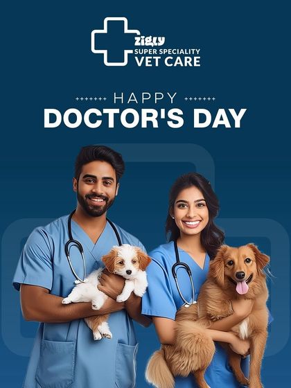 Zigly - Veterinary Services Our Expert Vets & Caring Team photo 11