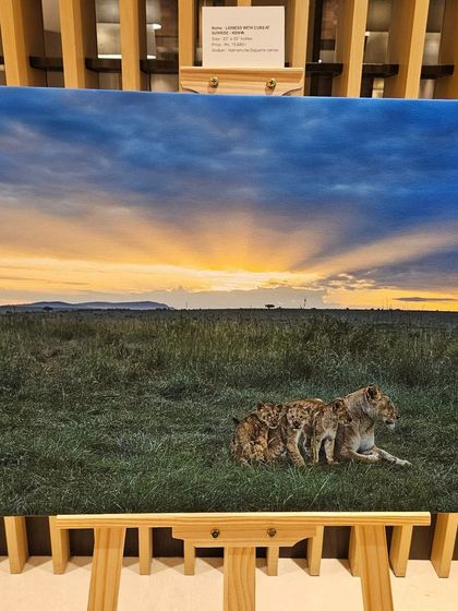 A stunning photograph from 'Nature's Splendour' capturing a lioness and her cubs against a dramatic sunset on the savanna.