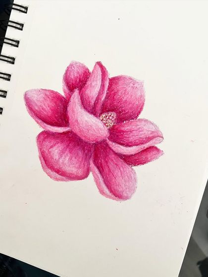 The finished oil pastel magnolia flower, a perfect example of how understanding light and shadow can make your drawings pop.