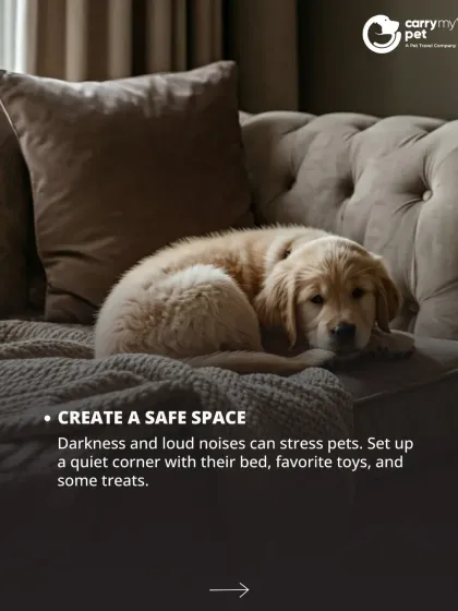 CarryMyPet - Pet Travel & Parenting Consultation Pet Parenting & Wellness photo 23