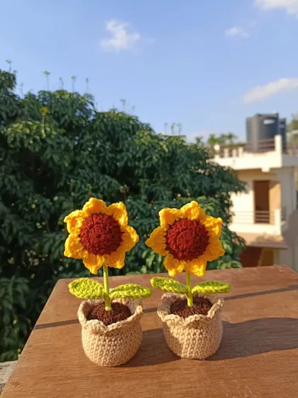 A pair of my classic potted sunflowers, a favorite for their cheerful and rustic look.