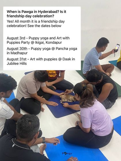 Our Hyderabad schedule for Friendship Month in August, with puppy yoga and art parties.