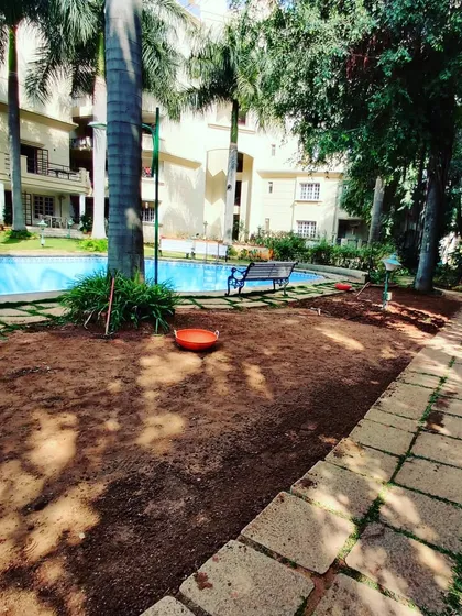 Here is the same poolside area before I started. It shows how even a completely bare patch of ground can be transformed into a lush garden.