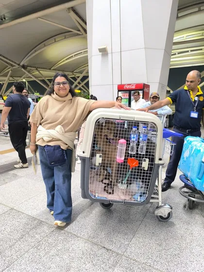 Mufasa and his mom at the airport. It's an emotional farewell, but they know he's in safe hands for his journey to the USA.
