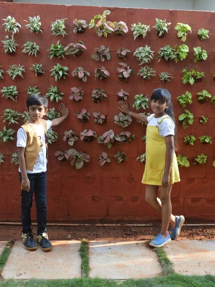 Bangalore Gardens - Vertical & Rooftop Gardening Vertical Garden Installations photo 14