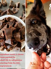 Natural Pet Treats & Chews