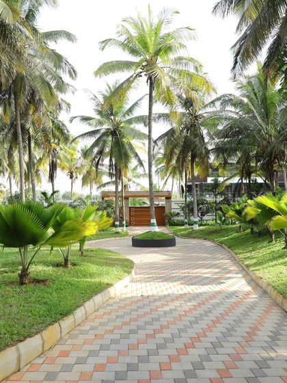 A winding paved path through a large property lined with palm trees. My work here involves maintaining the lawns, the garden beds, and ensuring the entire landscape feels cohesive and well kept.