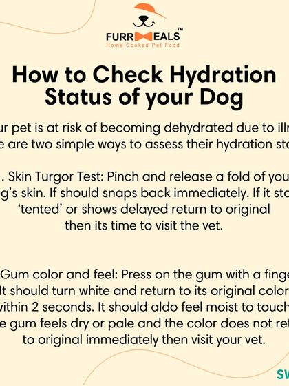 Is my dog dehydrated? This series explains what 'hydration status' means, how to check for it using the skin and gum tests, and why drinking more water isn't always a sign of good hydration.