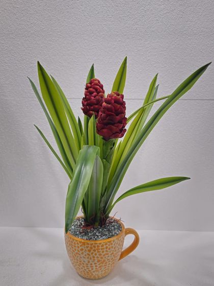 Desktop Plants & Bonsai photo 16