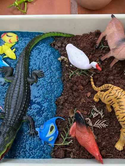 Learning about animal habitats can be so much fun. For this activity, we used real mud and blue-dyed chia seeds to create a land and water environment, helping children sort and classify their toy animals.