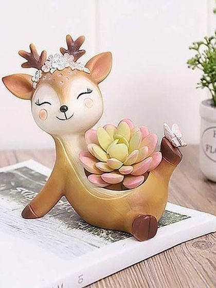 Stylish & Quirky Planters photo 13
