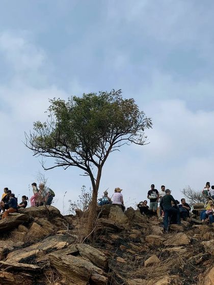 The Earth School - Nature & Community Engagement Programs Community in Action: Giving Back & Celebrating Together photo 54