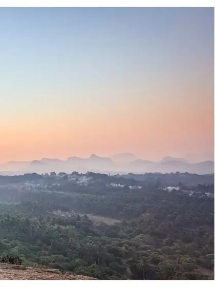 This is our Maamara farm, a place that makes you want to sit back, breathe deep, and just stay a little longer. It's where life feels just right, surrounded by nature's quiet rhythm.