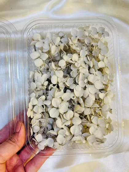 These delicate white dried hydrangea flowers are perfect for creating elegant and timeless resin pieces. They are ideal for wedding-themed art or minimalist designs.
