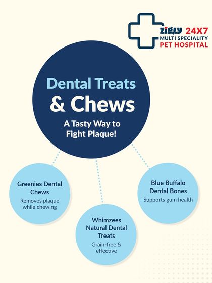 Zigly - Veterinary Services Specialized Care: Arthritis, Dental & Mobility photo 18