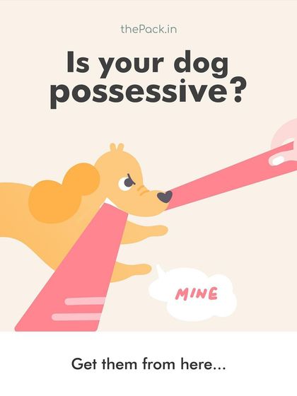 Is your dog possessive? This animated graphic introduces the topic of resource guarding, a common issue that I help pet parents manage through understanding and trust-building exercises.
