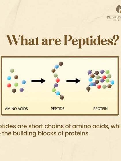 What are peptides? This graphic explains that they are short chains of amino acids, which are the building blocks of proteins like collagen and elastin, essential for skin structure and firmness.