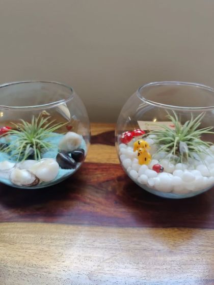 Healing Garden - Terrarium & Miniature Garden Workshops Our Garden & Terrarium Styles photo 5