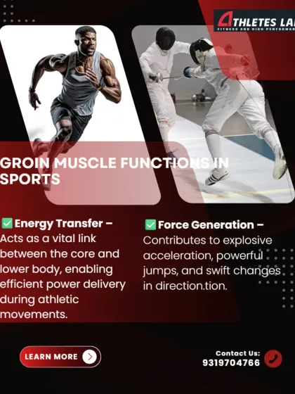 The groin muscles also play a vital role in transferring energy between the core and lower body, and in generating the force required for explosive acceleration and powerful jumps.
