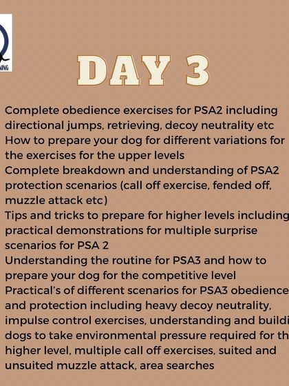 The Day 3 topics for my PSA seminar, diving into the advanced exercises for PSA2 and PSA3, including surprise scenarios and heavy decoy pressure.