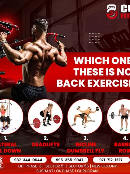 Just for Fun: Quizzes & Questions photo 3