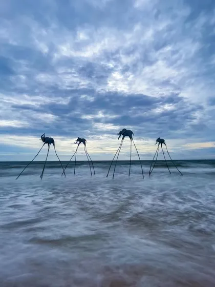 An artistic long-exposure shot of elephant sculptures on the beach in Vietnam. It's a surreal and beautiful installation that looks even more magical against the moving water.