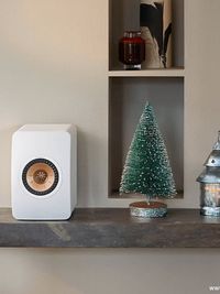 High-Fidelity (Hi-Fi) Audio Systems