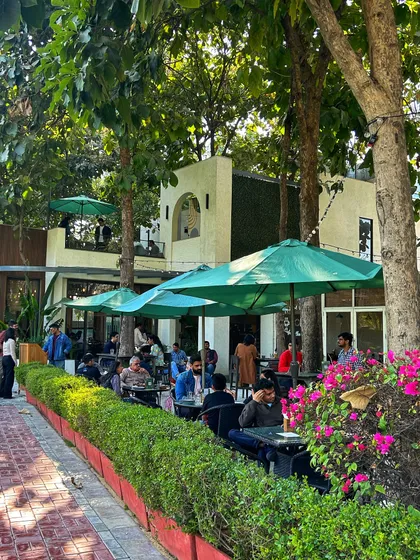 Our cafe patio during the day, with plenty of umbrellas providing shade for our guests.