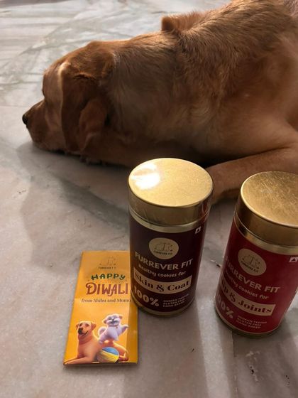 This is Jarvis, one of my very first customers, with his Diwali goodies. Getting messages like this from pet parents reinforces why I started this journey to begin with.