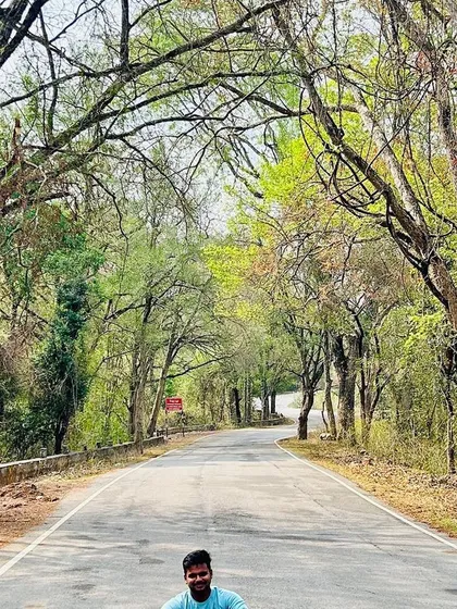 The drive to Hogenakkal is just as beautiful as the destination, with tree-canopied roads like this one.