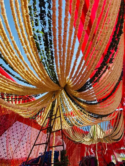 A view from below of a ceiling covered in thousands of hanging marigold and tuberose flower strings, a traditional and fragrant decoration.