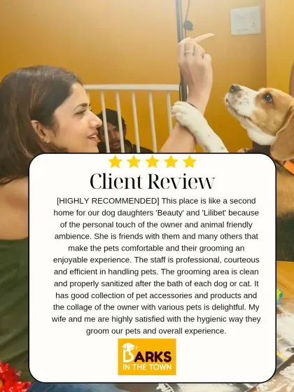 It means the world to us when clients feel like our salon is a second home for their pets. This review highlights our personal touch, professional staff, and commitment to a clean, hygienic environment, which are the pillars of our service.