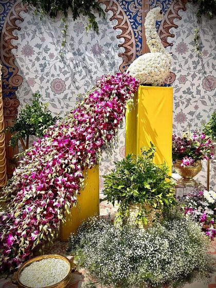 An extravagant floral peacock, with its tail made of cascading orchids, a true statement piece for a luxury Mehendi.