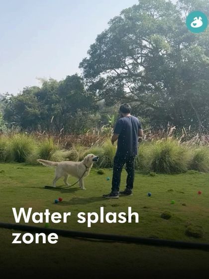 Garima Tomar - Dog Socialization & Group Activities Social Picnics & Community Meetups photo 5