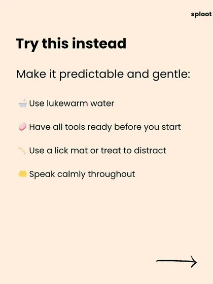 To make it better, try making the process predictable and gentle. Use lukewarm water, have all your tools ready, use a lick mat as a distraction, and speak calmly throughout.