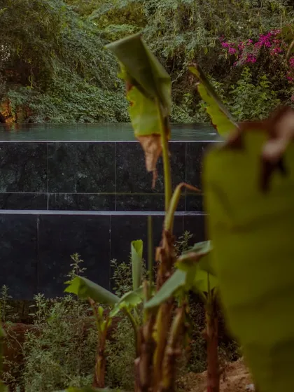 A view of the infinity edge of the pool, where the dark marble tiles meet the lush greenery of the forest.