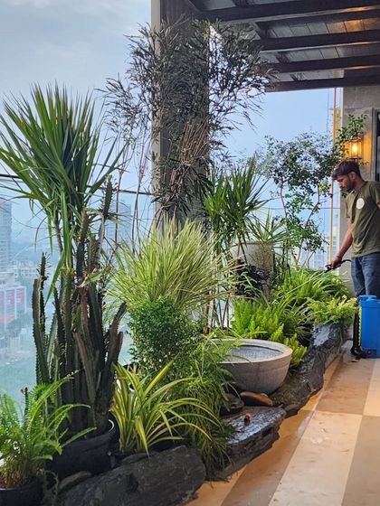 A work-in-progress shot of us creating a custom rock garden on an apartment balcony. We are so grateful for clients who give us the creative freedom to transform their spaces.