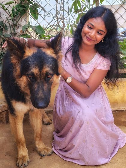 A visitor shares a quiet moment with a calm and watchful German Shepherd.