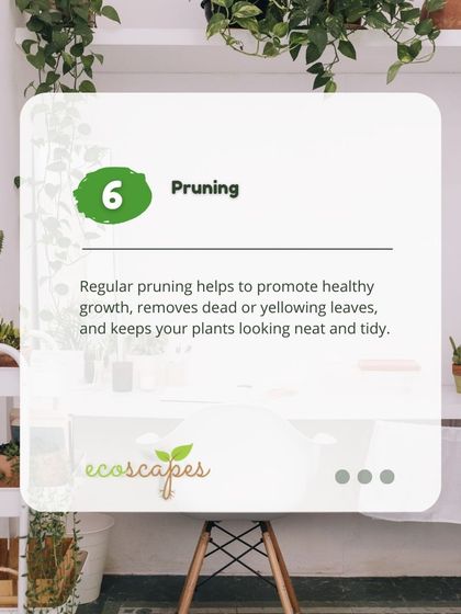 Ecoscapes Landscaping - Urban Gardening & Green Walls Urban Gardening Guides photo 31